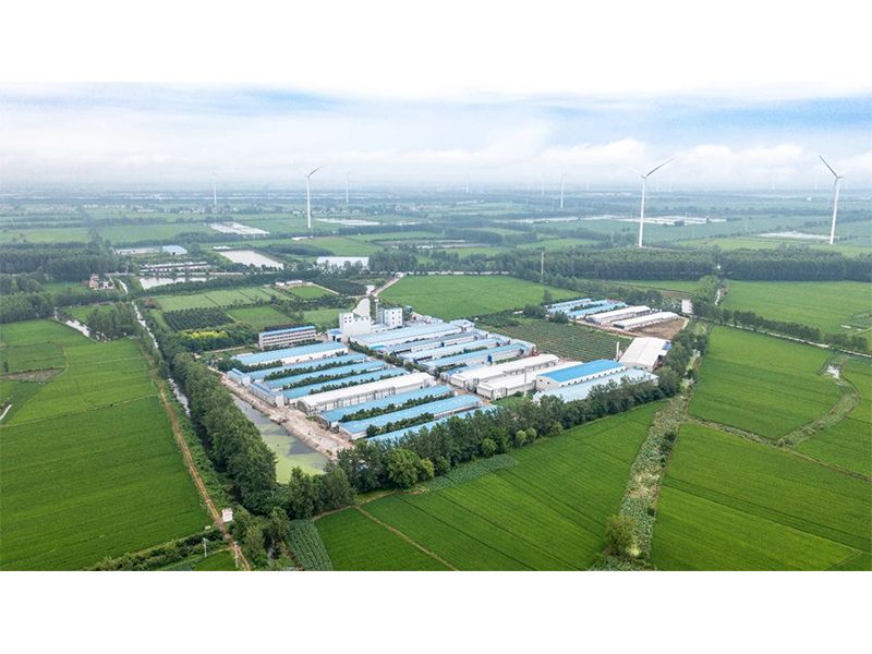 2023年中央一號(hào)文件出爐，畜禽產(chǎn)業(yè)應(yīng)抓住哪些新機(jī)遇？