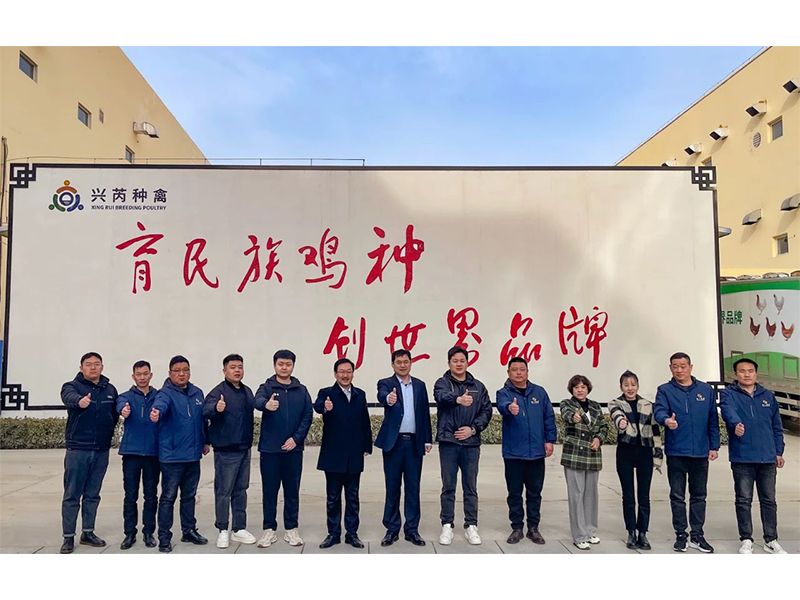 參觀學(xué)習(xí)促進(jìn)步 交流合作贏發(fā)展︱卓一牧業(yè)赴興芮種禽、峪口禽業(yè)與瑞普生物參觀訪學(xué)