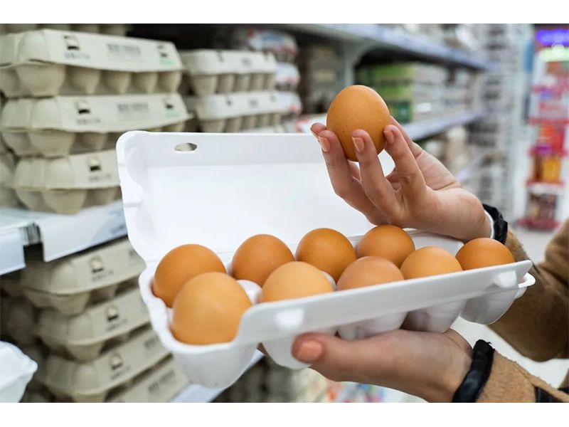 什么是快樂農(nóng)場(chǎng)？我們?nèi)绾尾拍軐?shí)現(xiàn)它