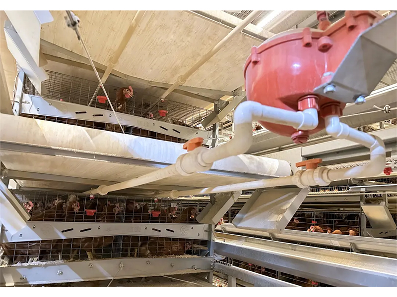 養(yǎng)殖場(chǎng)如何做到飲水安全？