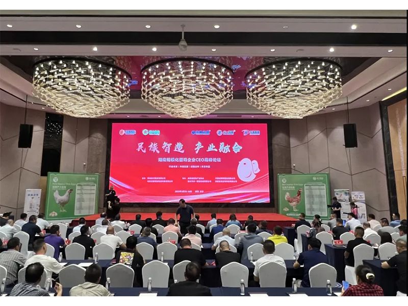 熱烈祝賀湖南規(guī)模化蛋雞企業(yè)CEO高峰論壇取得圓滿成功！